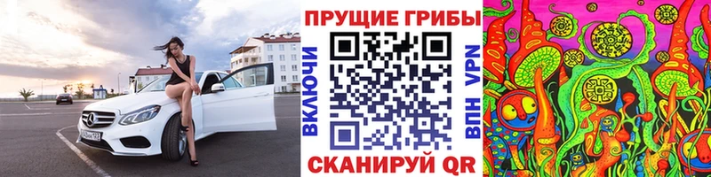 Псилоцибиновые грибы мицелий  цены   omg   Нефтекумск 